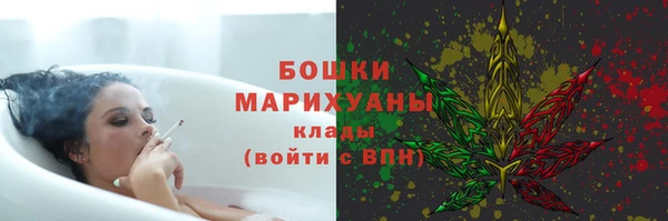 шишки Бронницы