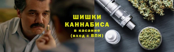 шишки Бронницы