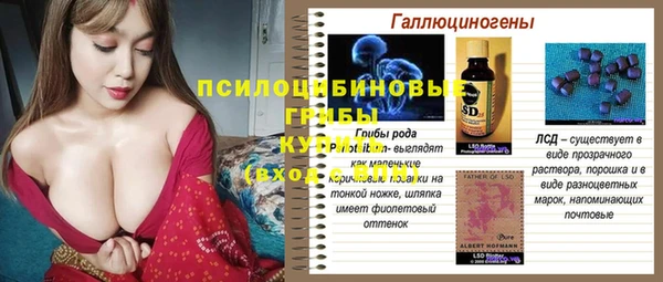 шишки Бронницы
