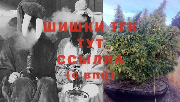 шишки Бронницы