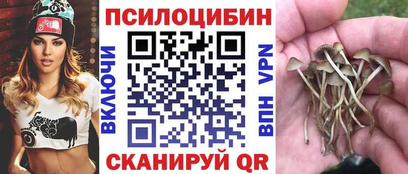 Псилоцибиновые грибы мицелий  Катав-Ивановск 